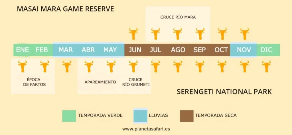 Calendario gran migración Kenia Tanzania